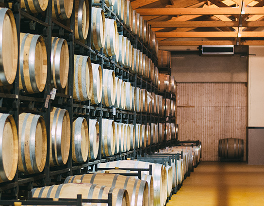 kmetijstvo 544x425 1